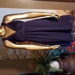 Stunning deep plum The Limited lined dress. Size 2.